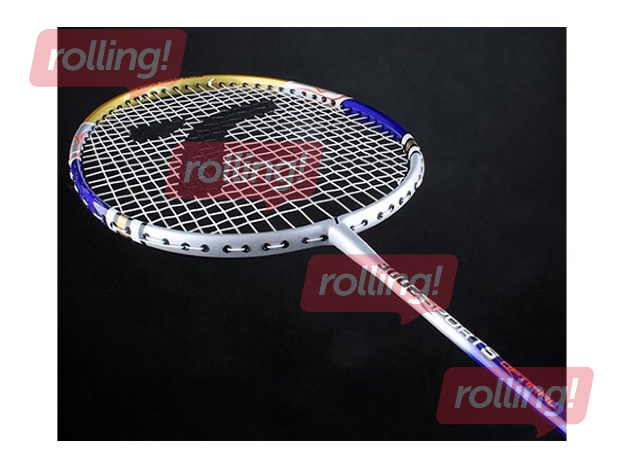 Racket Techman 3002