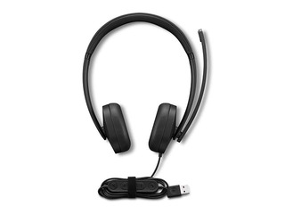 Наушники Lenovo, Gen2 Stereo, с микрофоном, USB 2.0
