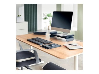 Monitor stand Leitz Ergo, dark grey