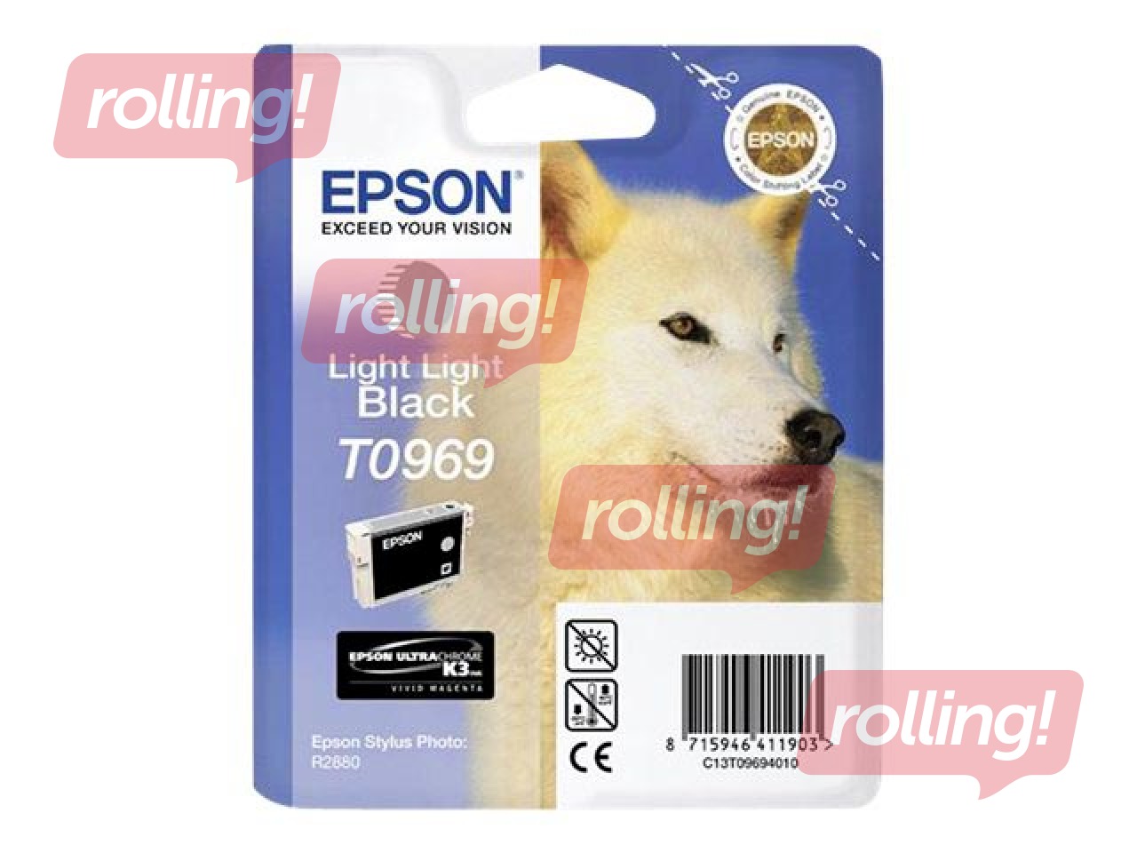 Tintes kasete Epson Stylus Photo R2880, gaiši gaiši melna, 11,4ml