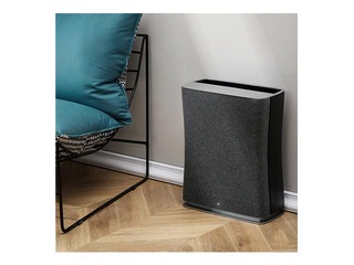 Air cleaner Roger, black