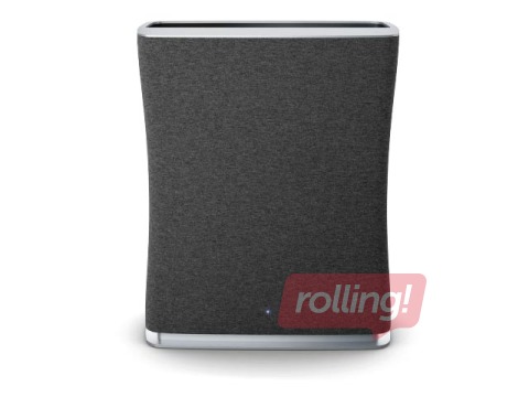 Gaisa attīrītājs Roger, melns